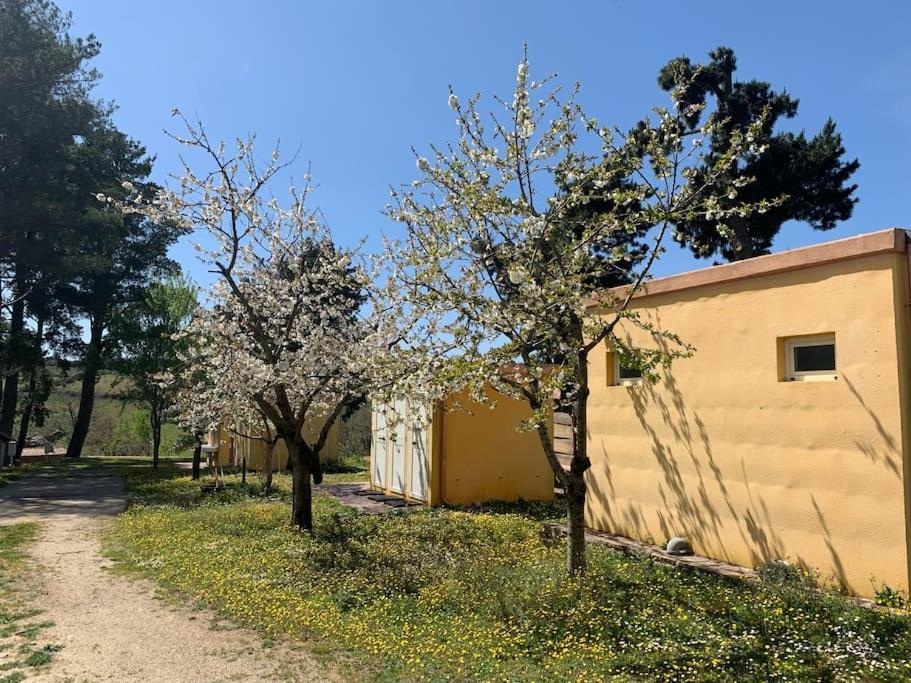 B&B Helga'S Agricampeggio Seùlo Eksteriør billede