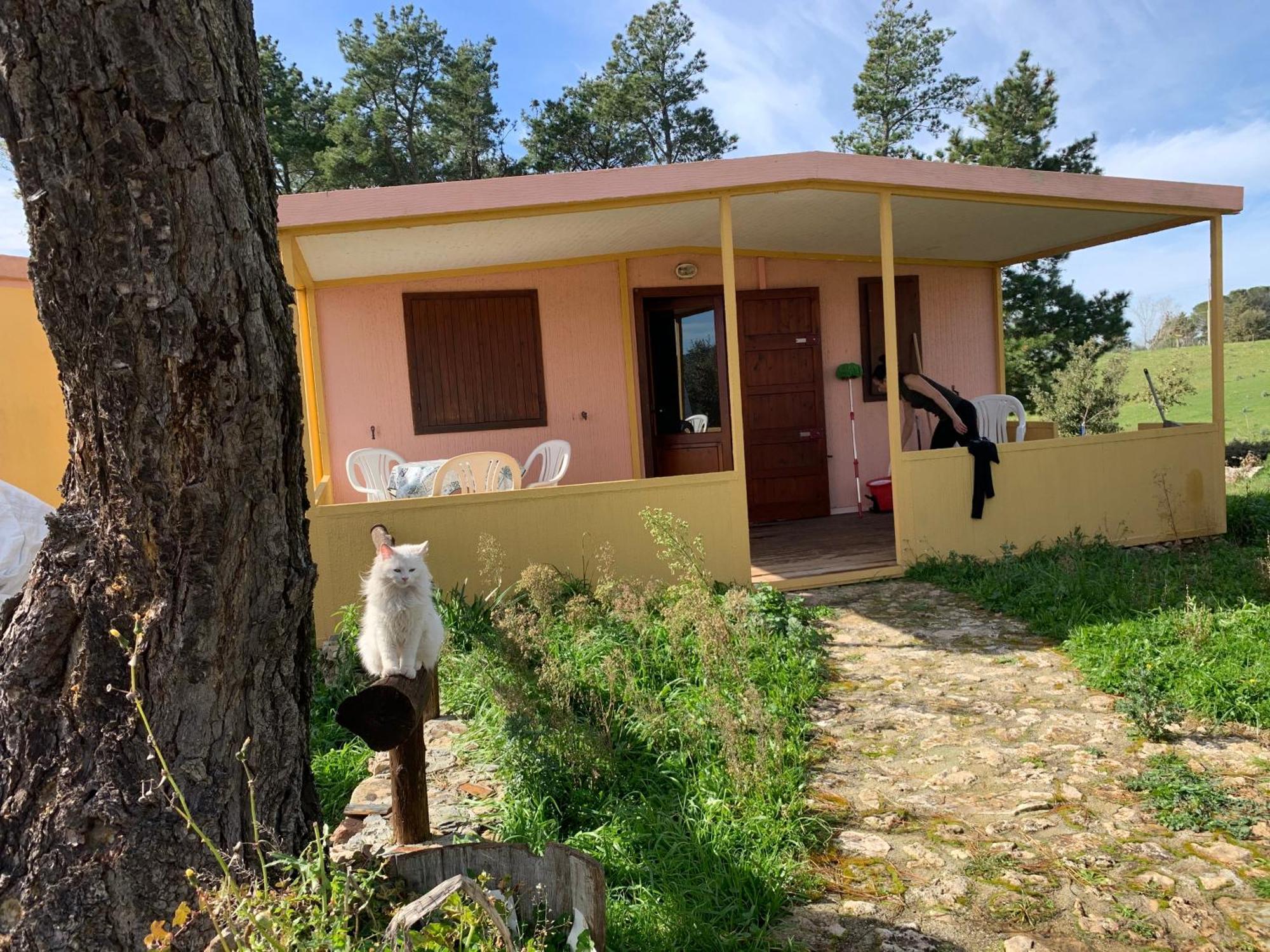 B&B Helga'S Agricampeggio Seùlo Eksteriør billede